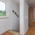 Grguci Kanfanar